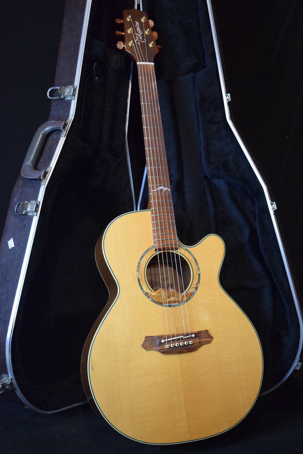 Takamine LTD 99