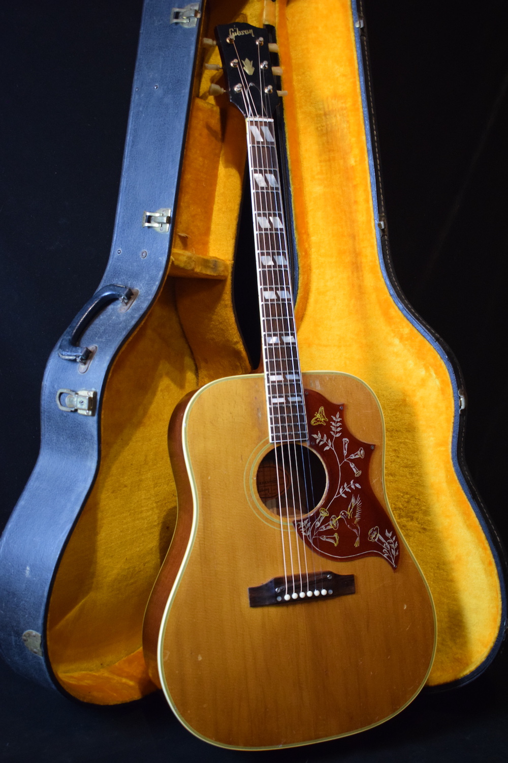 Gibson Hummingbird