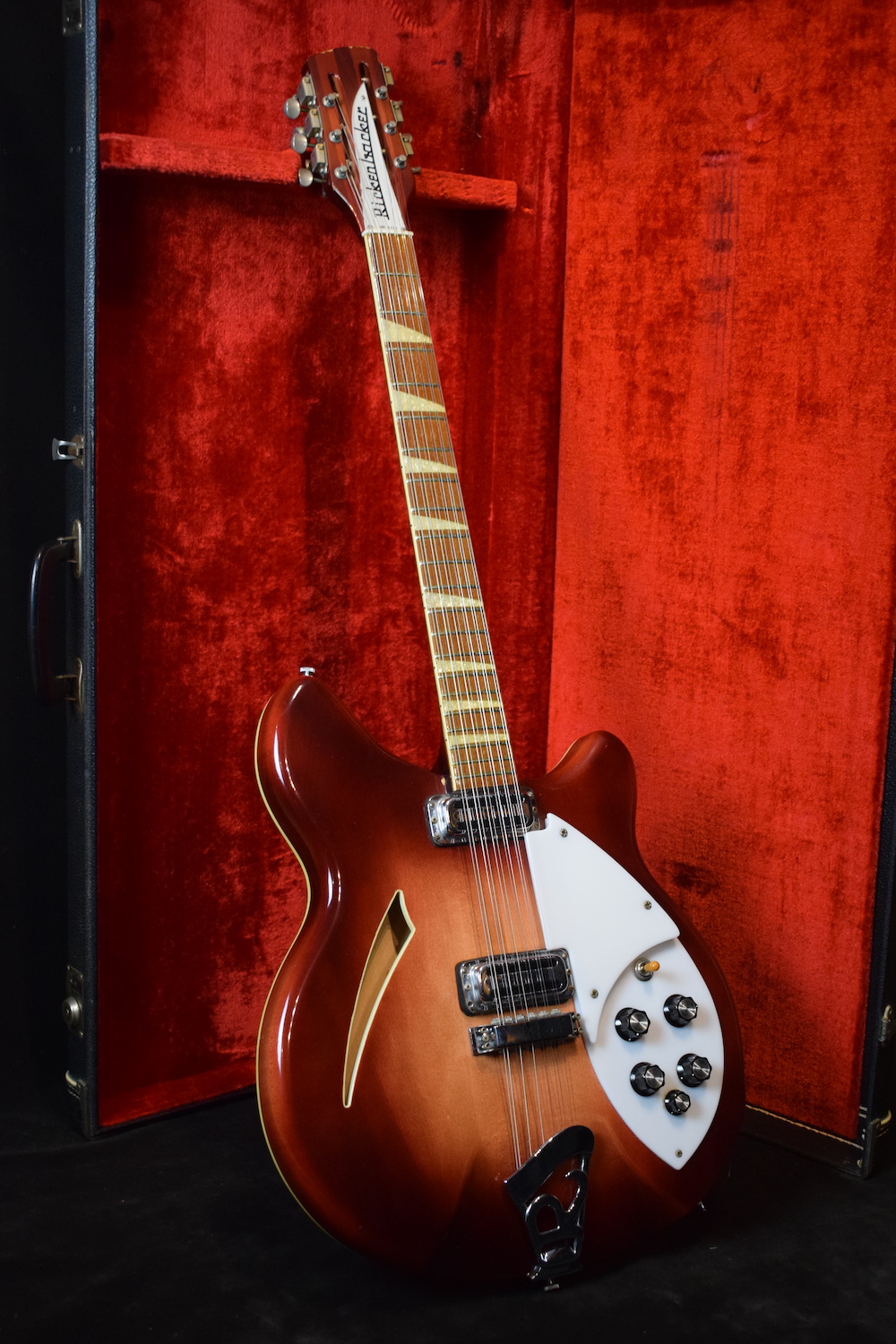Rickenbacker 360/12