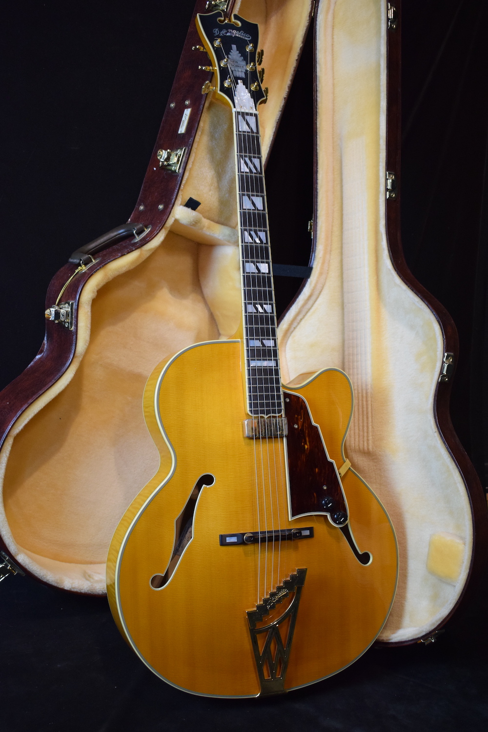 D'Angelico Vestax NYL-4