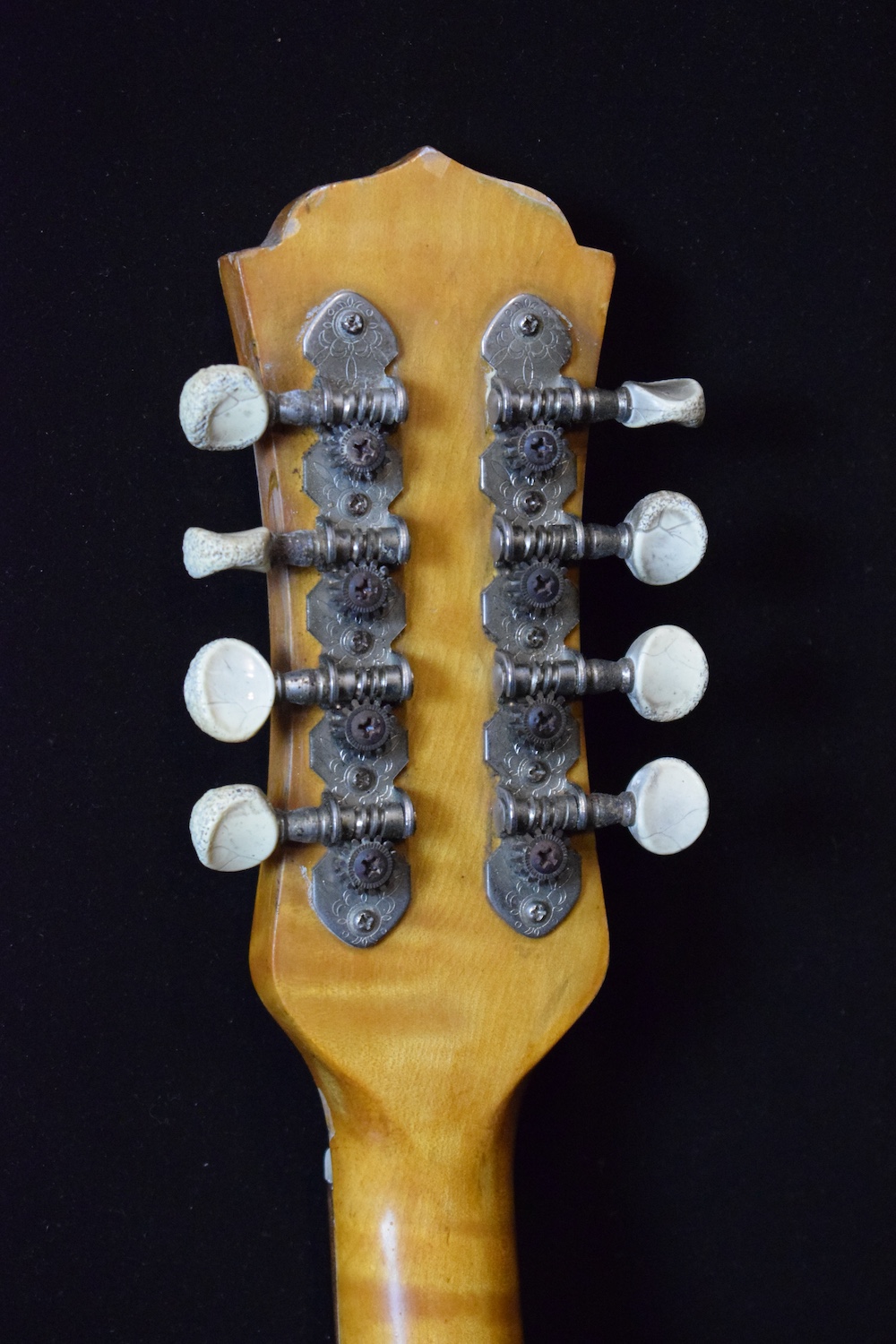 National Mandolin German Silver - Image 7