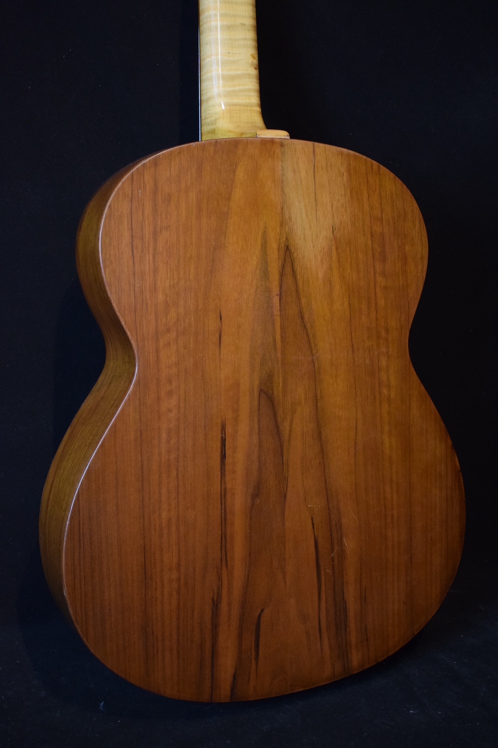 Monzino Square neck hawaiian guitar - Image 3