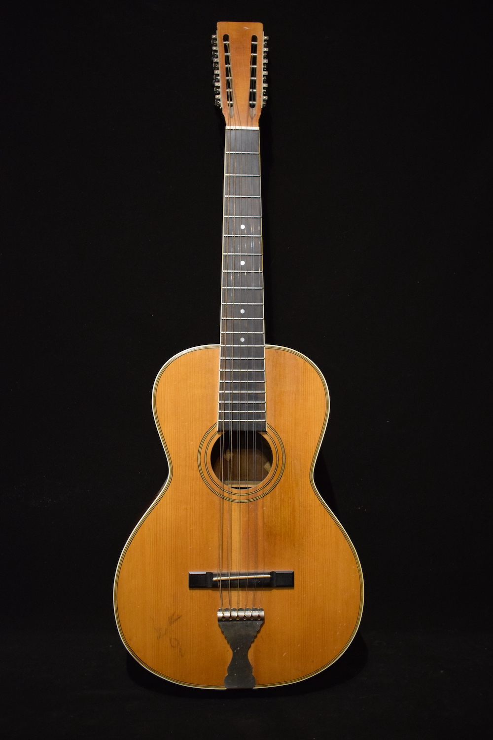 Lyon & Healy 12 string