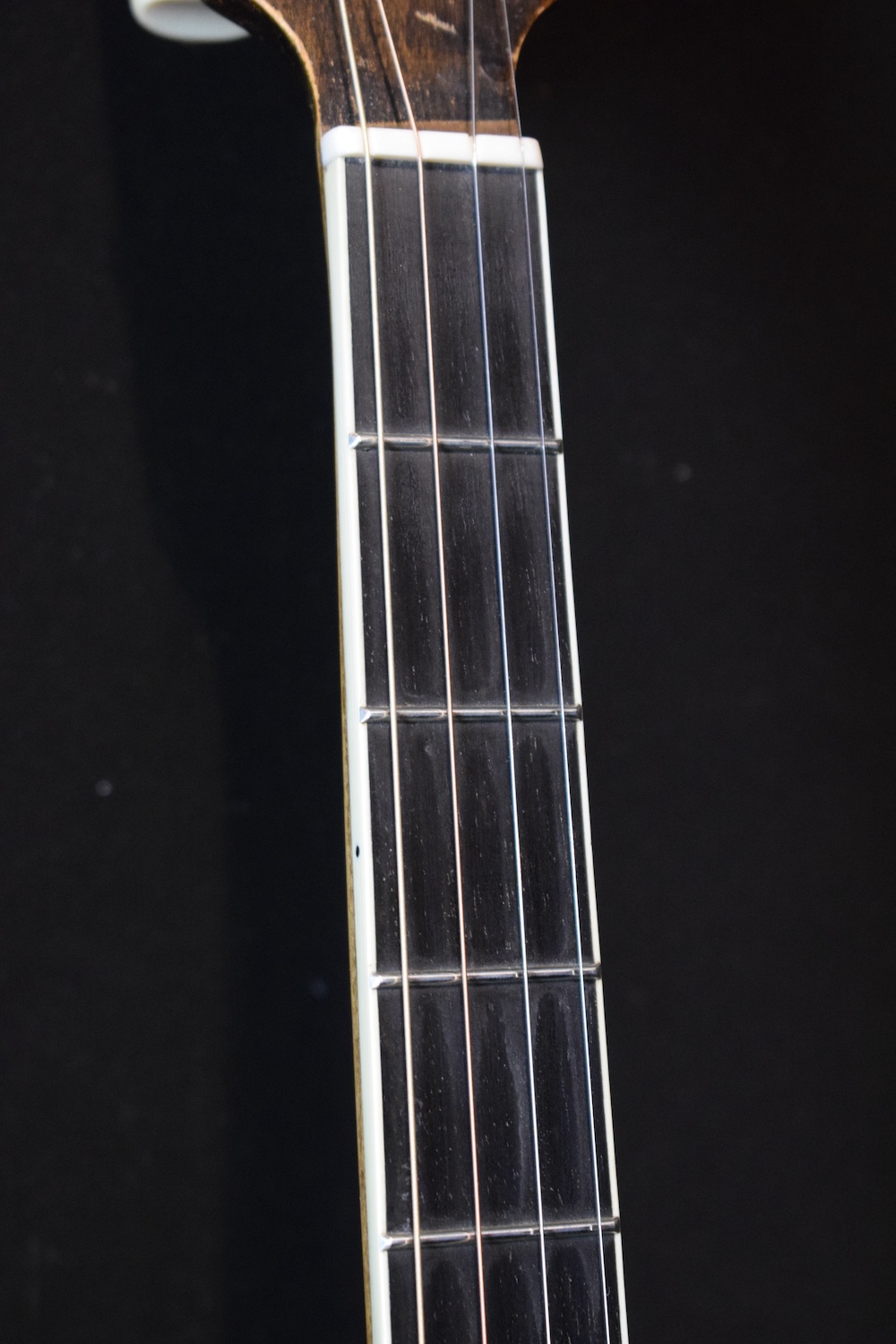 National Triolian Plectrum - Image 4