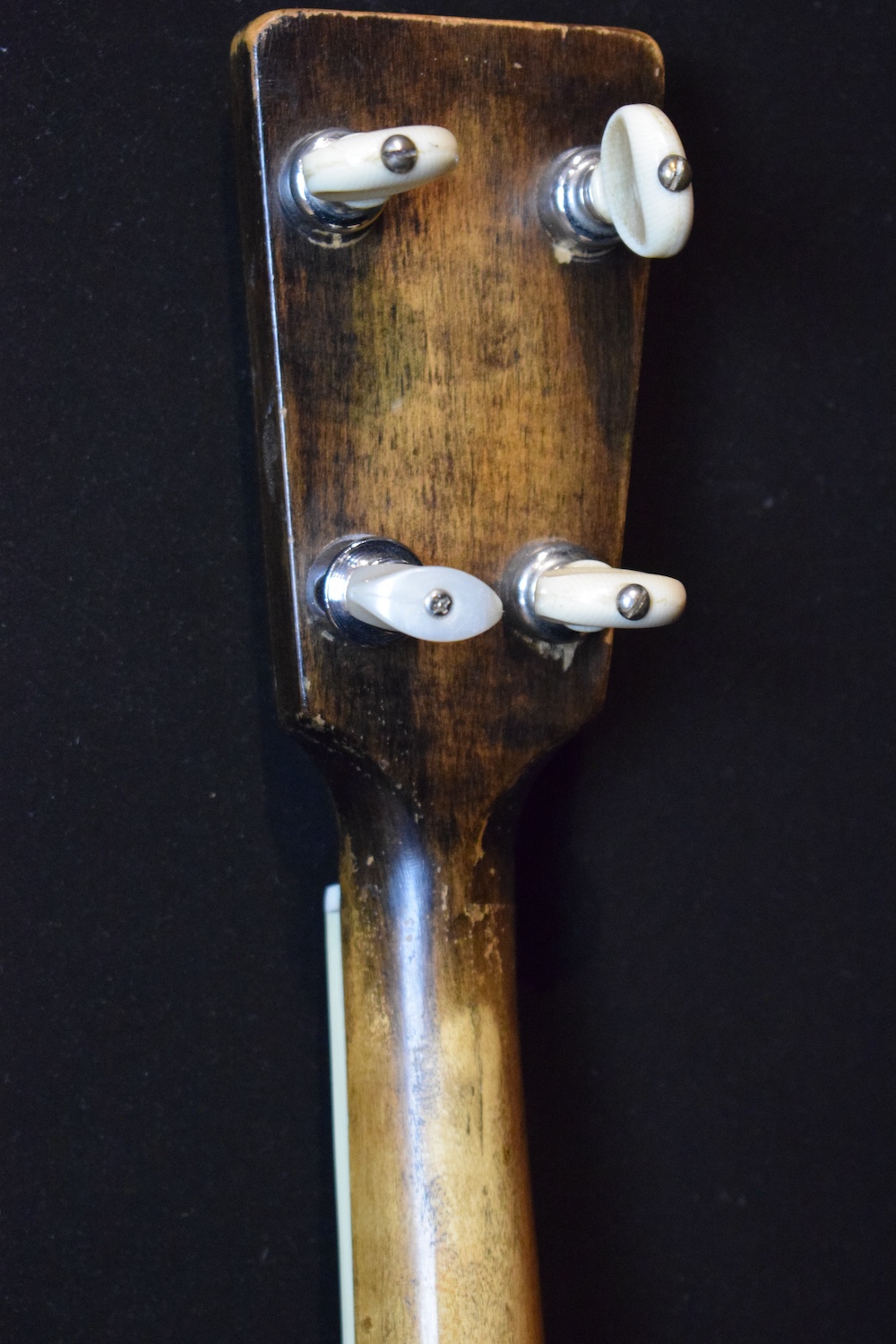 National Triolian Plectrum - Image 6