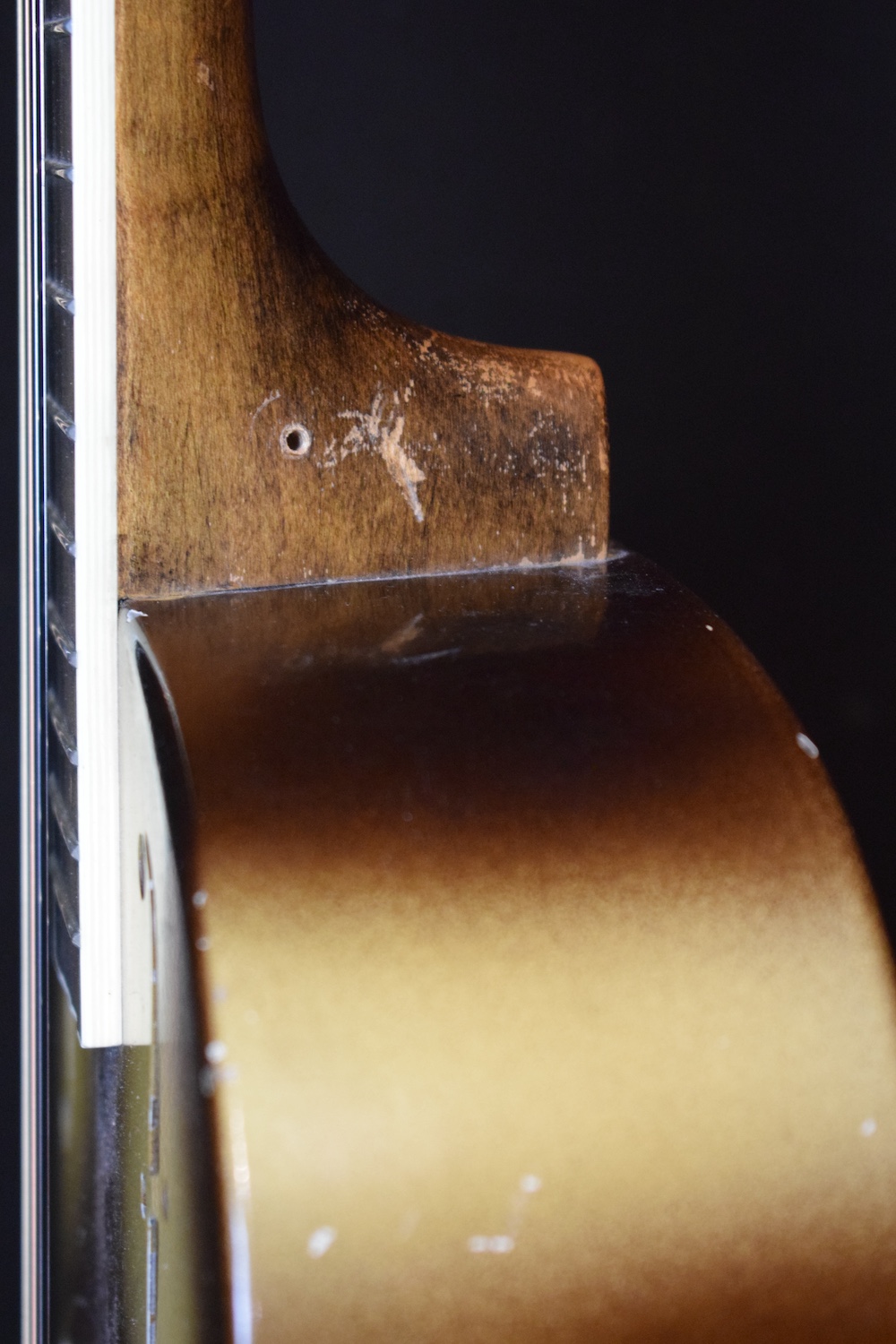 National Triolian Plectrum - Image 10