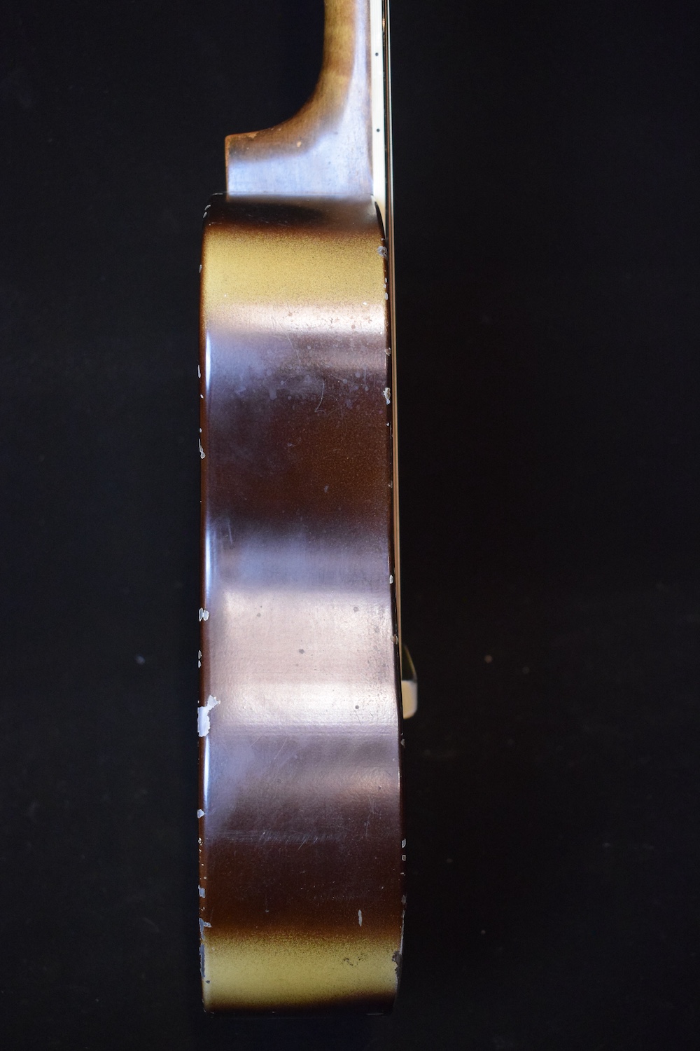 National Triolian Plectrum - Image 11